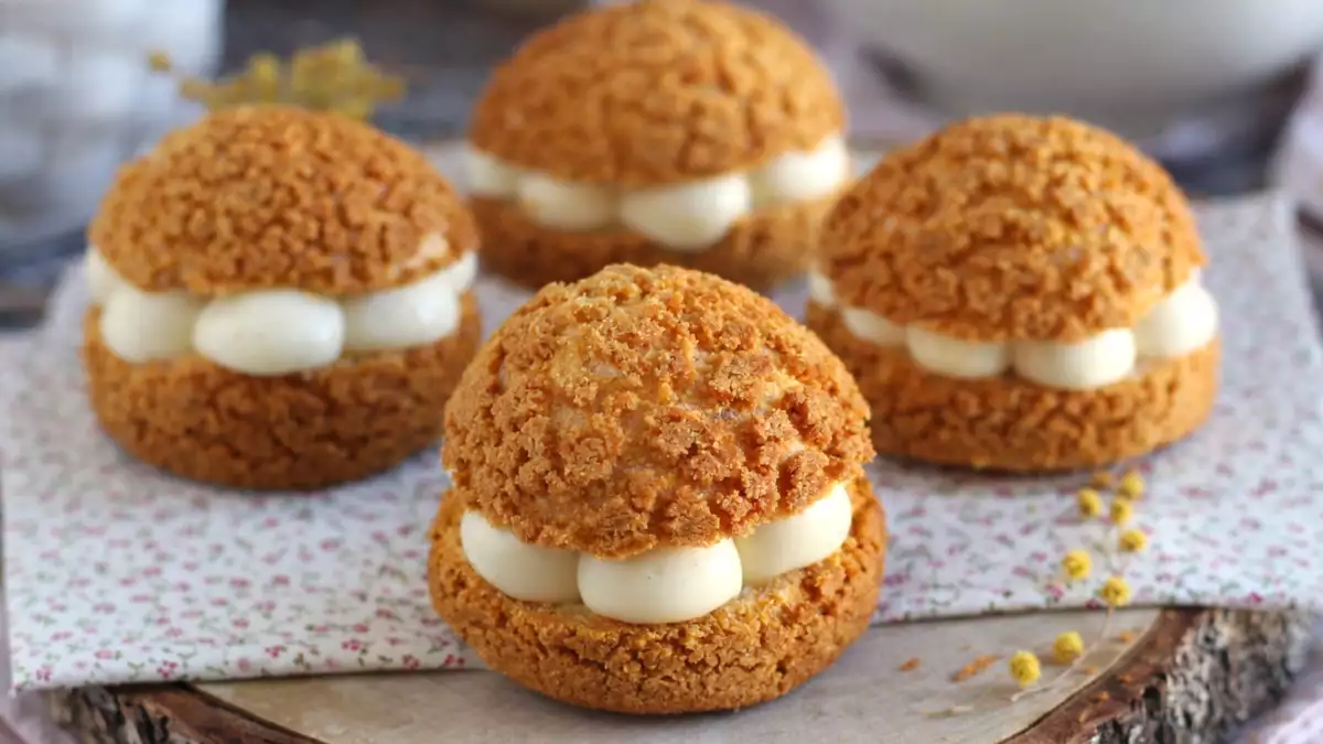 Zakaj so zdaj povsod