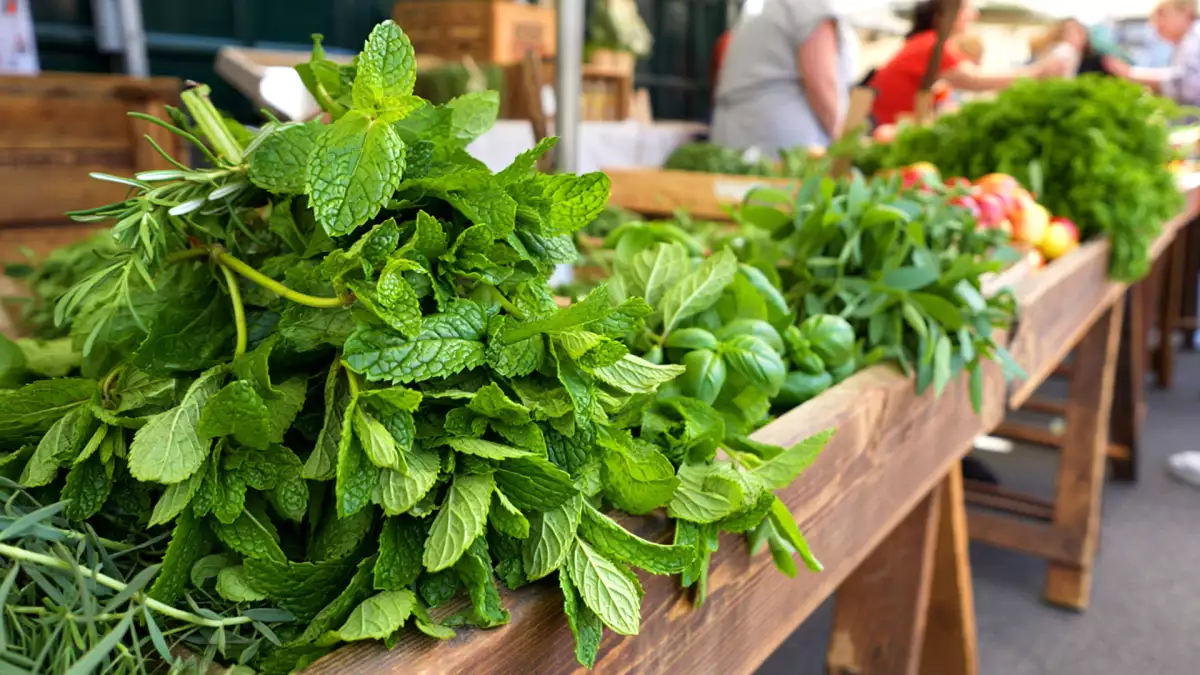 Vse mete niso enake: spoznajte 4 najpogosteje uporabljene vrste in nehajte delati napake pri pripravi čaja in recepta.