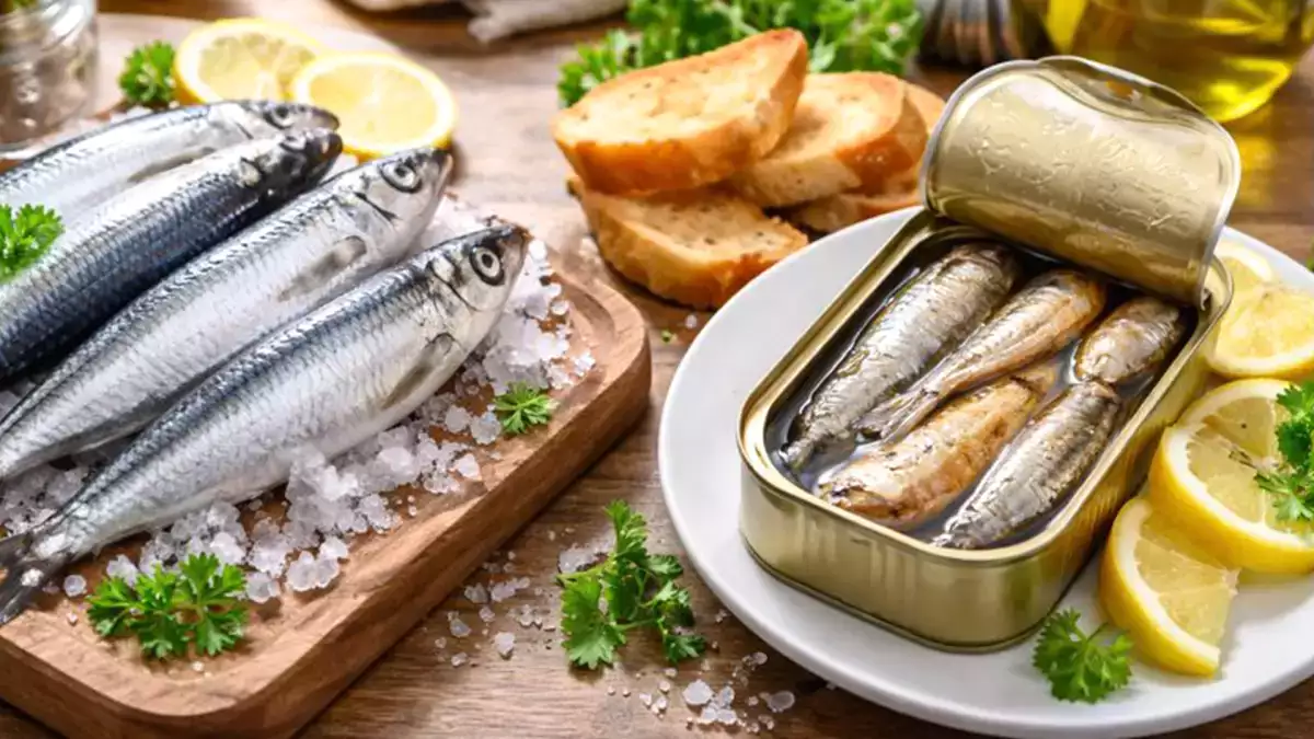 Sveže in konzervirane sardine: vse, kar morate vedeti, preden se odločite, kaj bo na vaši mizi