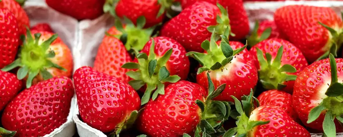 Tako lahko jagode ohranite dlje časa!