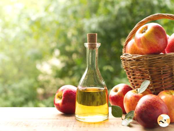 Čudežna sestavina za hujšanje!