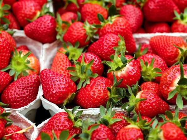 Tako lahko jagode ohranite dlje časa!