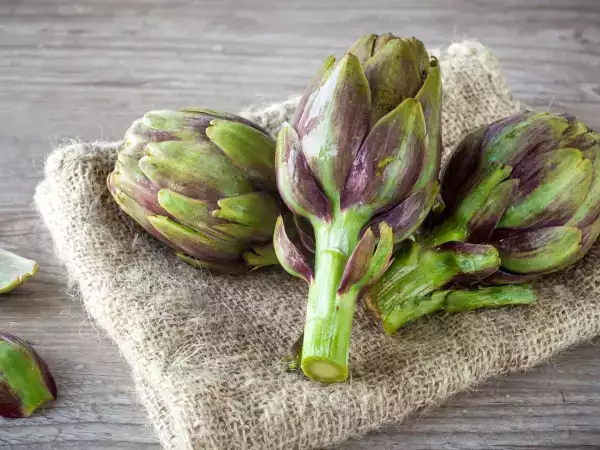 Kako lahko artičoke hranimo dlje, da ne postanejo črne?
