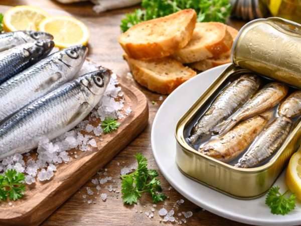 Sveže in konzervirane sardine: vse, kar morate vedeti, preden se odločite, kaj bo na vaši mizi