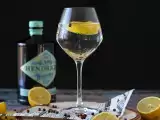 Recept Gin s tonikom, osnovni aperitivni koktajl!