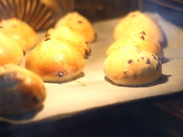 Čokoladne žemljice - Priprava korak 10