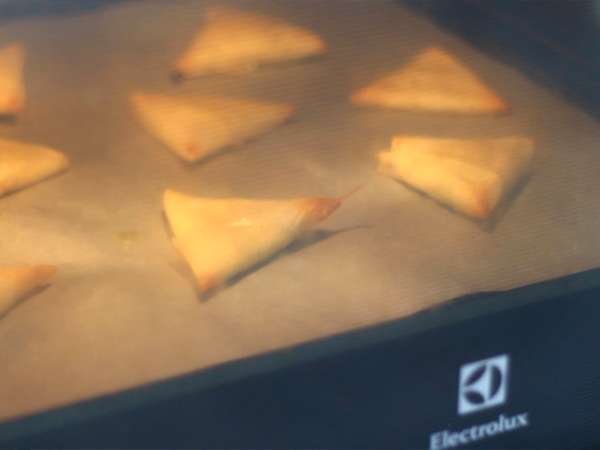 Samoussas s kozjim sirom in medom - Priprava korak 6