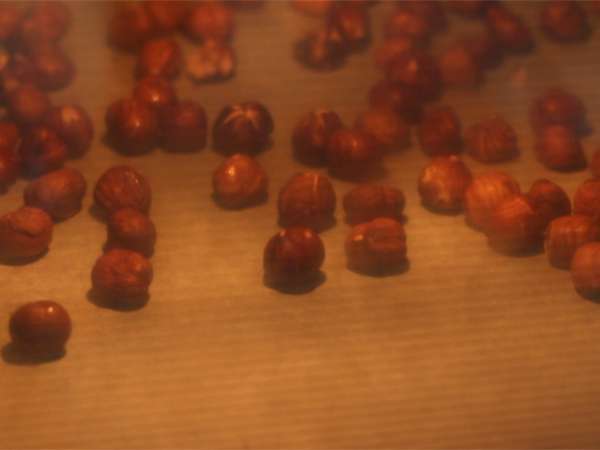 Vroče čokoladne lizike: temna čokolada + praženi lešniki - Priprava korak 1