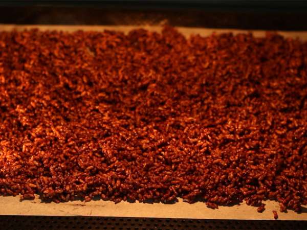 Čokoladna kosmiči iz puhastega riža. Kokosovi popki - Priprava korak 5