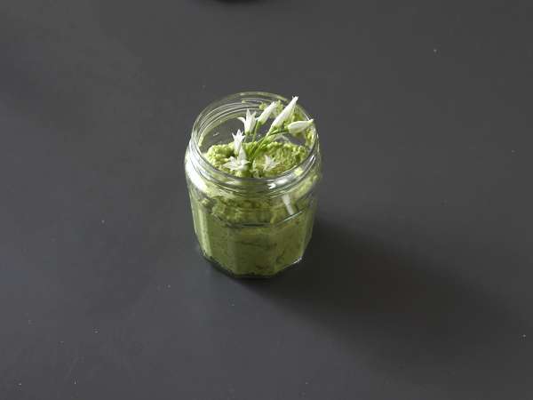 Medvedov česnov pesto, dišeč in zelo okusen! - Priprava korak 4