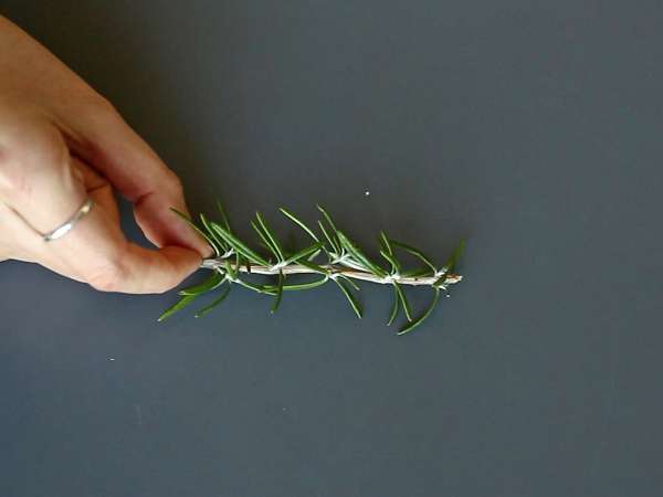 Koktajl z zasneženo jelko v notranjosti - Priprava korak 1