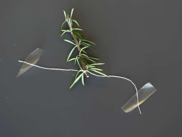 Koktajl z zasneženo jelko v notranjosti - Priprava korak 3