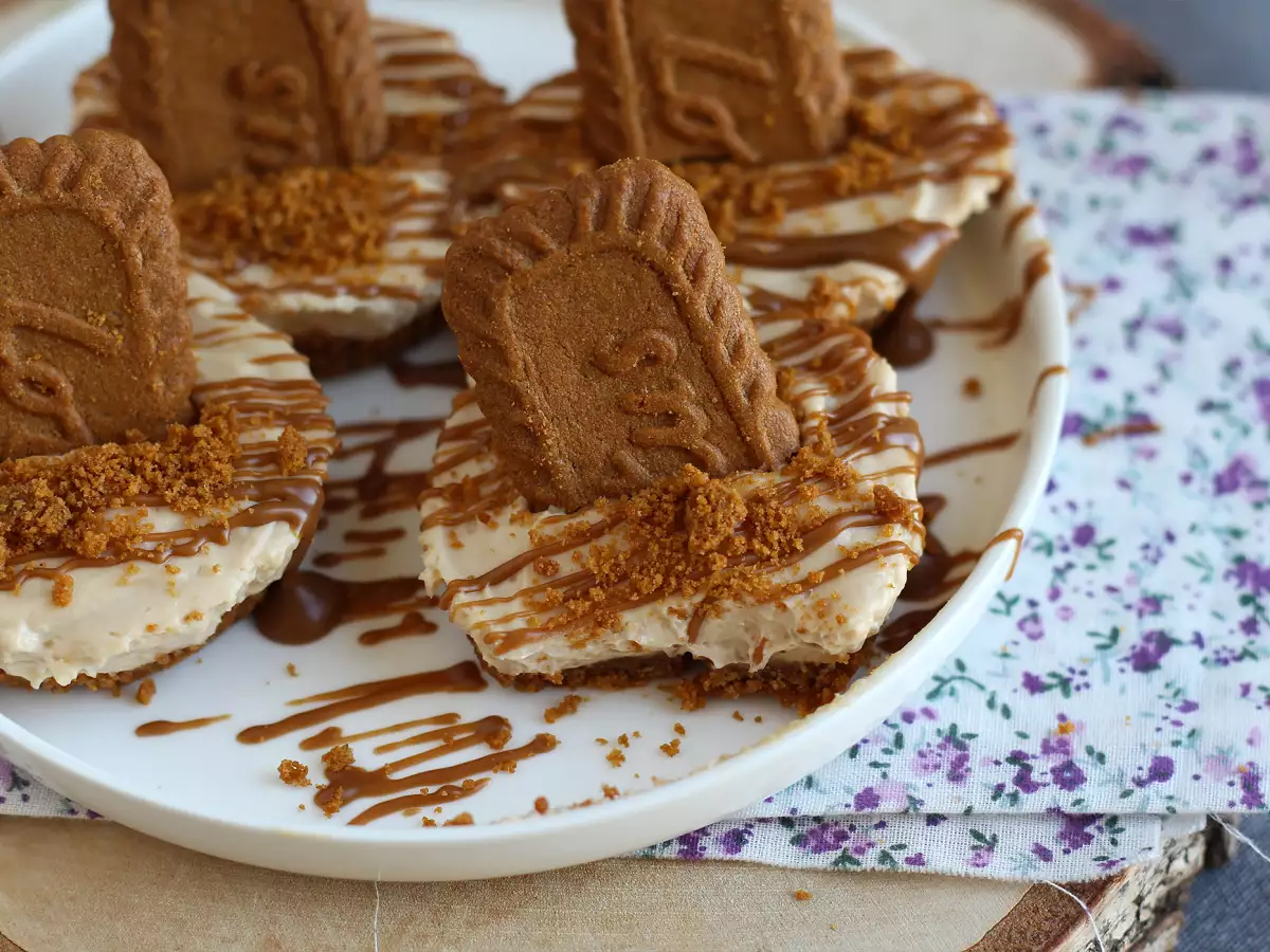 Cheesecake tortice brez peke s piškoti speculoos - fotografija 2