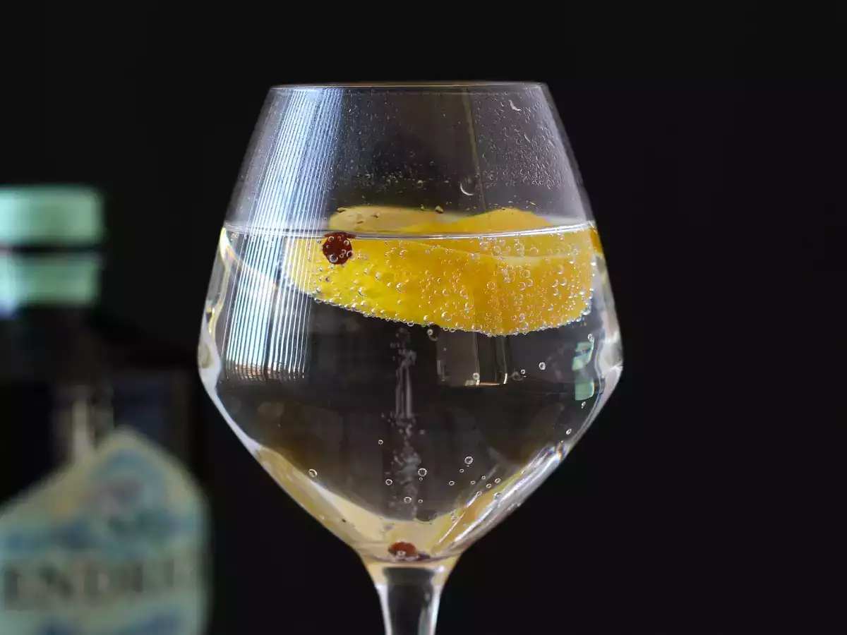 Gin s tonikom, osnovni aperitivni koktajl! - fotografija 2