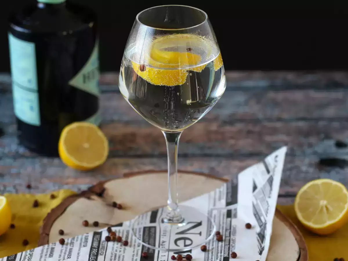Gin s tonikom, osnovni aperitivni koktajl! - fotografija 3