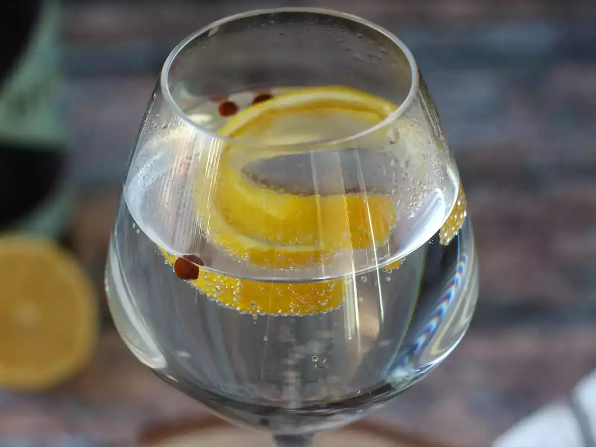 Gin s tonikom, osnovni aperitivni koktajl! - fotografija 4