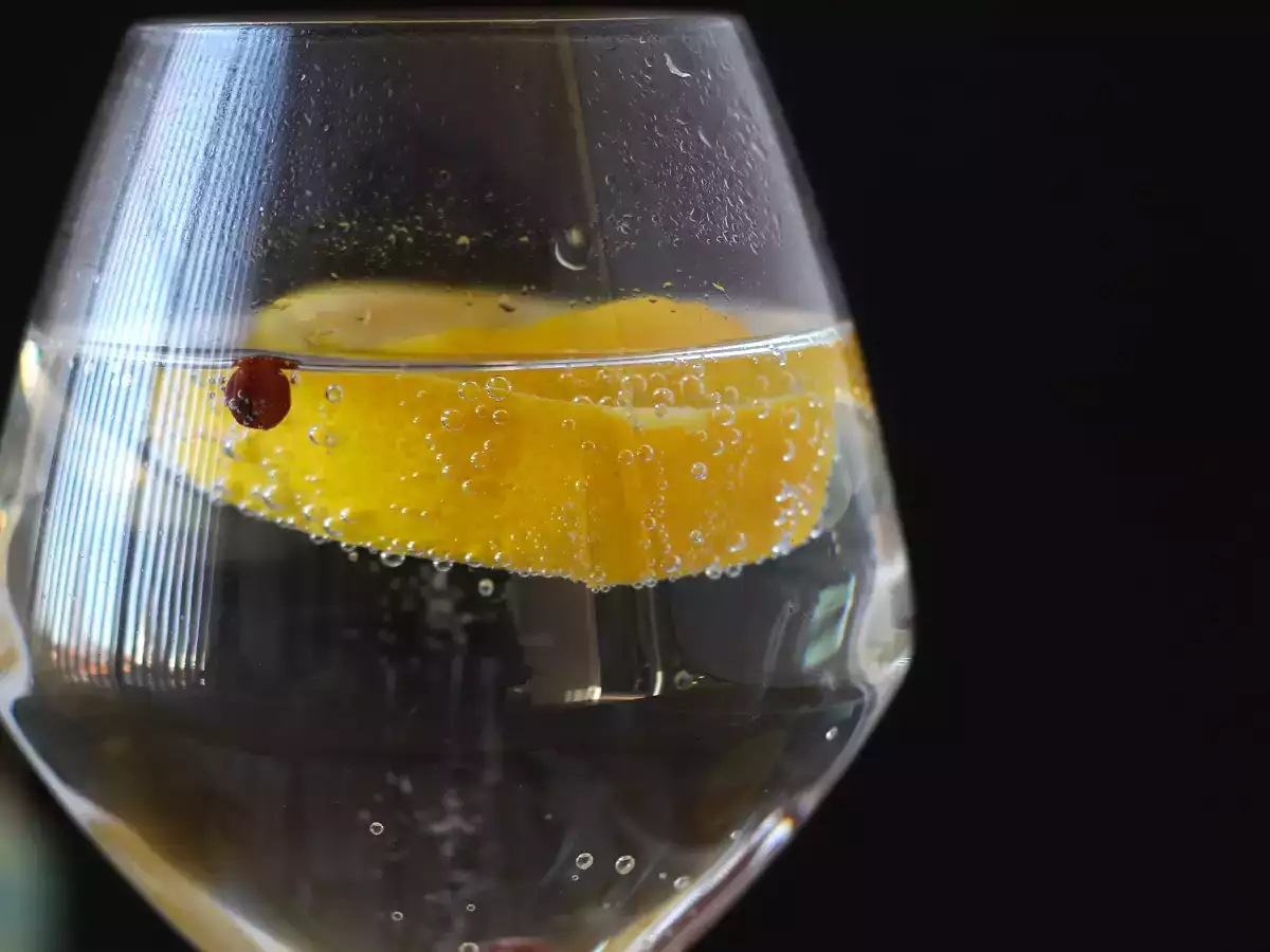 Gin s tonikom, osnovni aperitivni koktajl! - fotografija 5