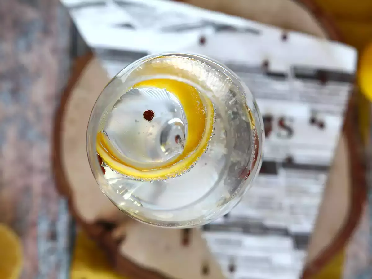 Gin s tonikom, osnovni aperitivni koktajl! - fotografija 6