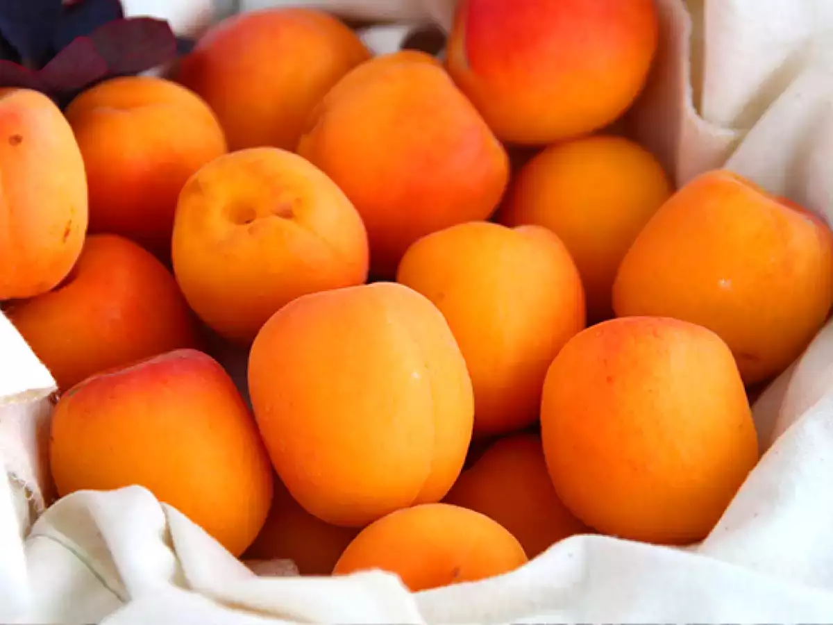 Marelice, polnjene s tuno in rožmarinom - fotografija 6