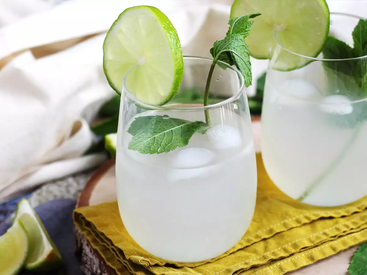 Moskovska mula - fotografija 4