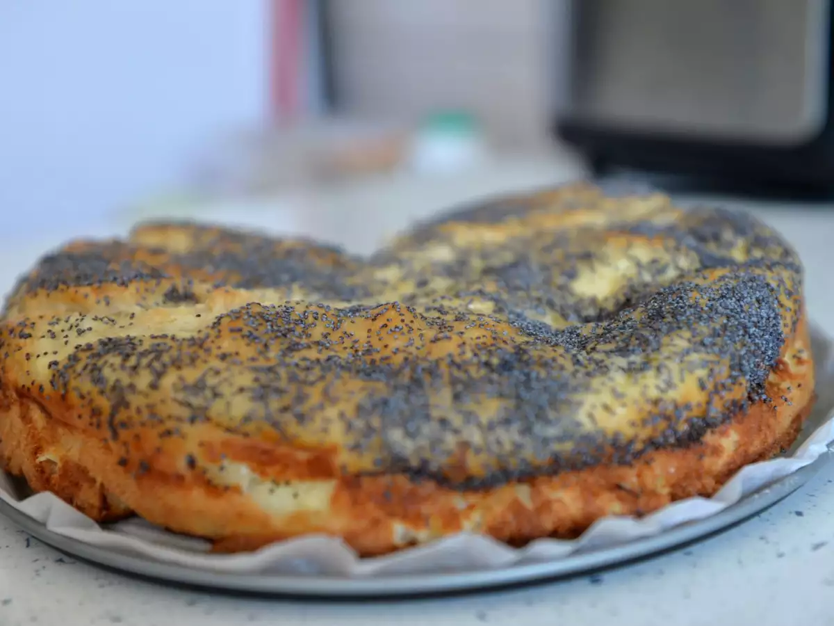 Pita s skuto in jogurtom v makovi skorjici - fotografija 2