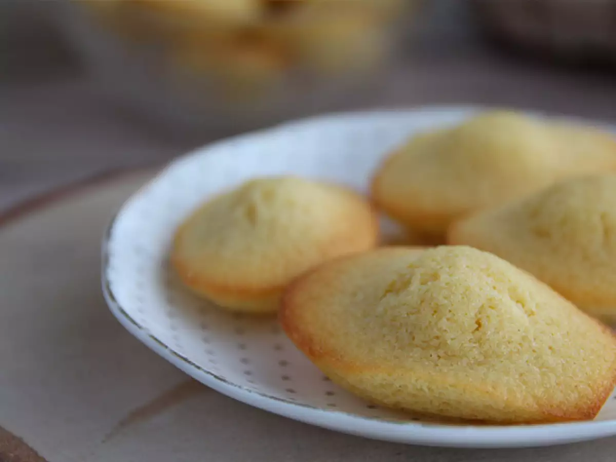 Preprost recept za mehke navadne madeleine - fotografija 4