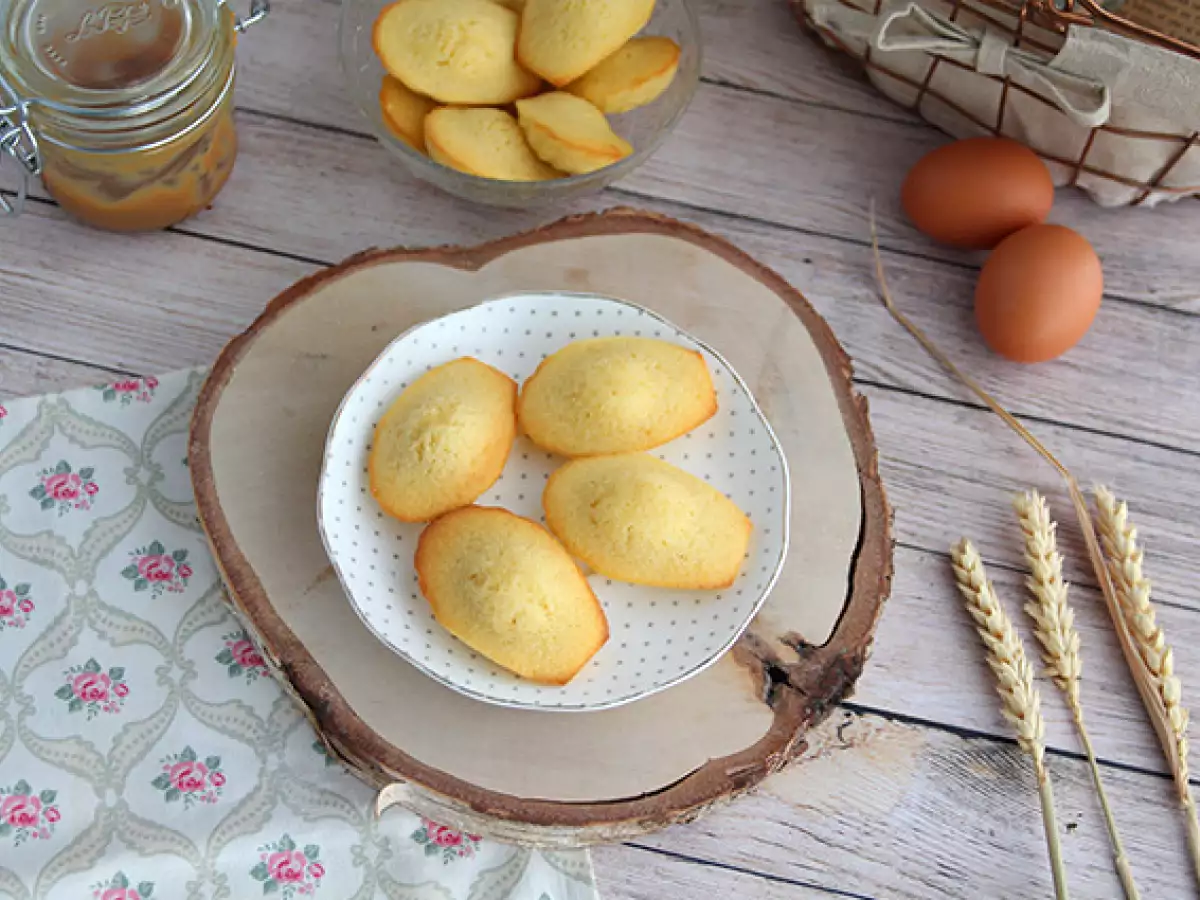 Preprost recept za mehke navadne madeleine - fotografija 5