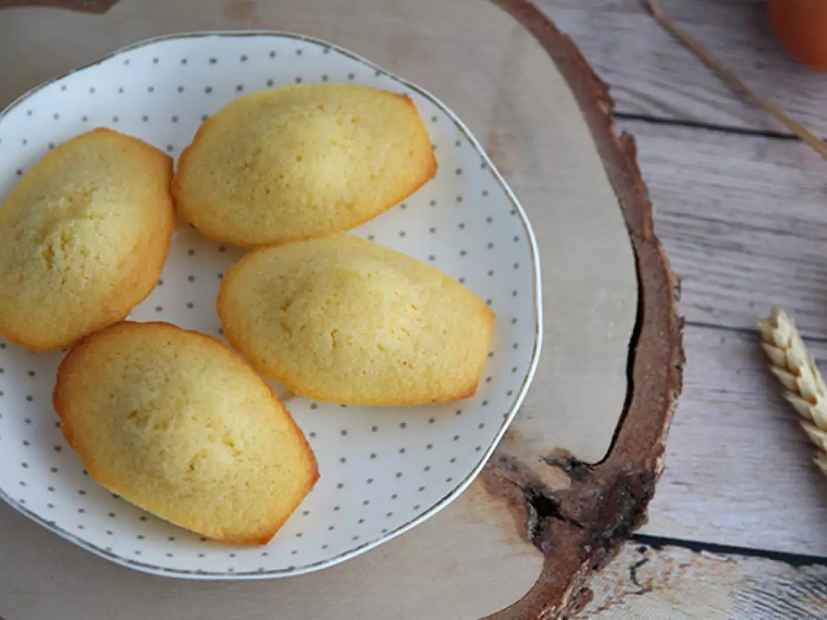 Preprost recept za mehke navadne madeleine - fotografija 6